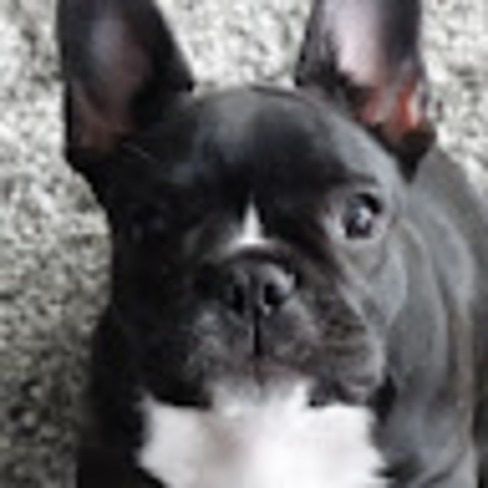 Meet your Posher, Jessy